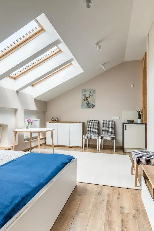 Dluga Apartments Cracovie Pologne